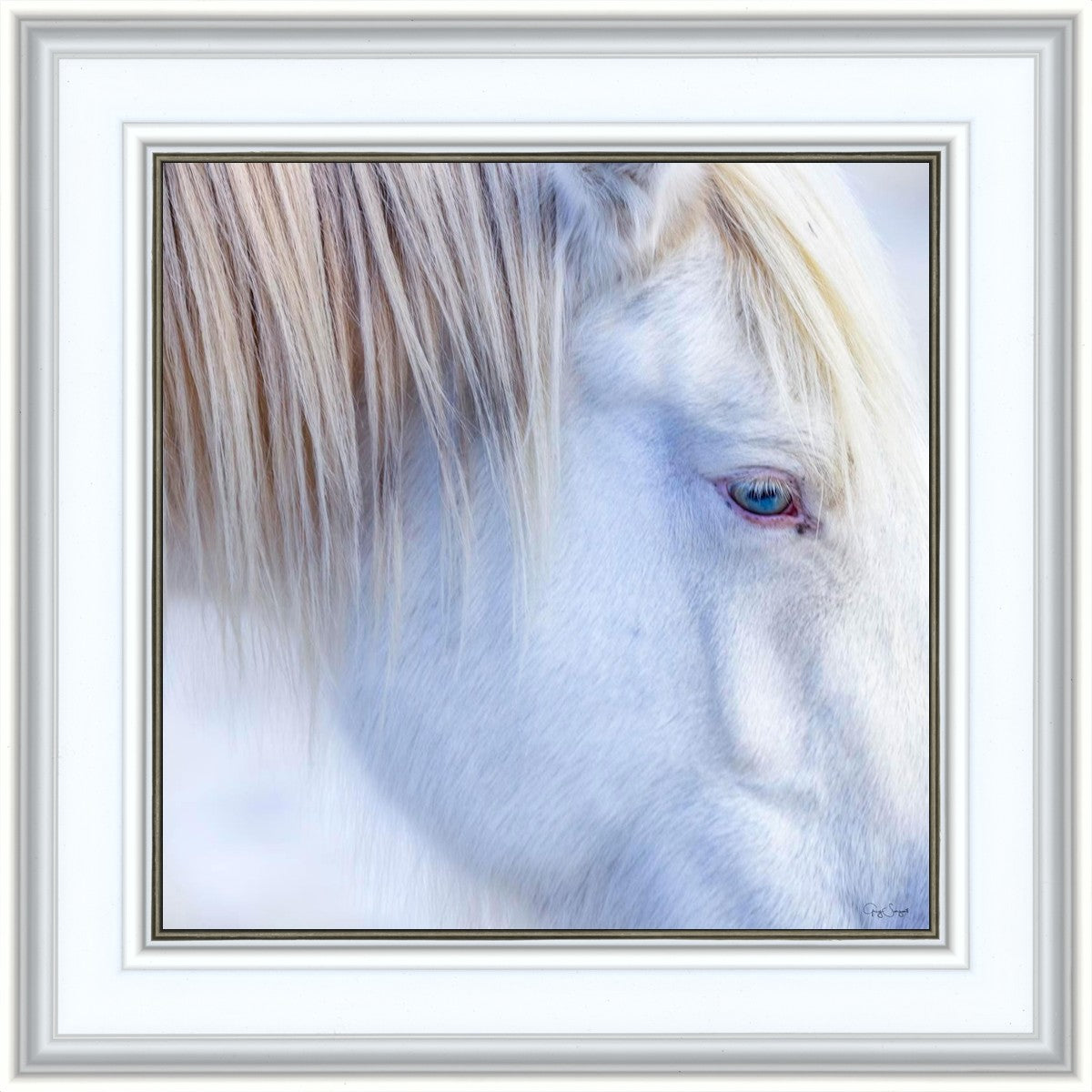 White Gypsy