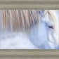 White Gypsy
