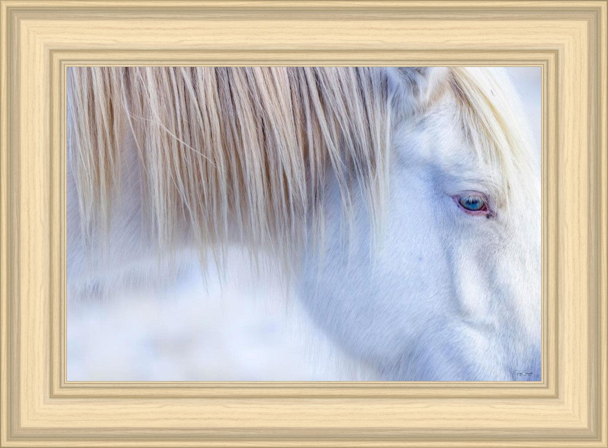 White Gypsy