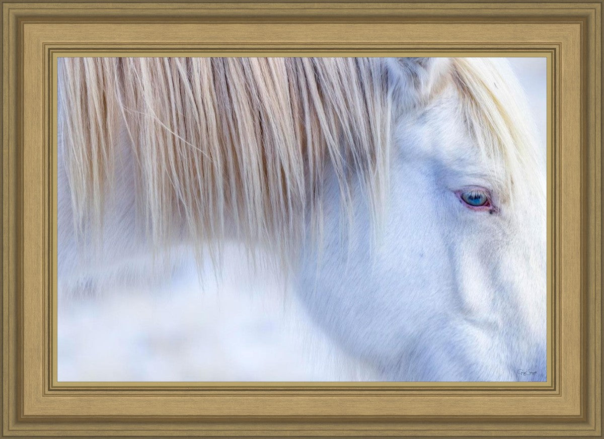 White Gypsy