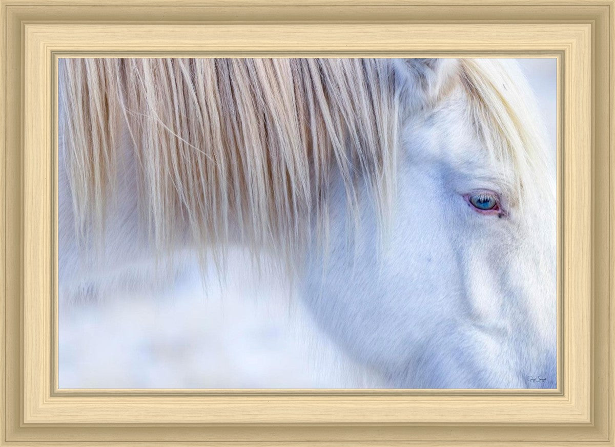 White Gypsy