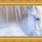 White Gypsy