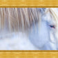 White Gypsy