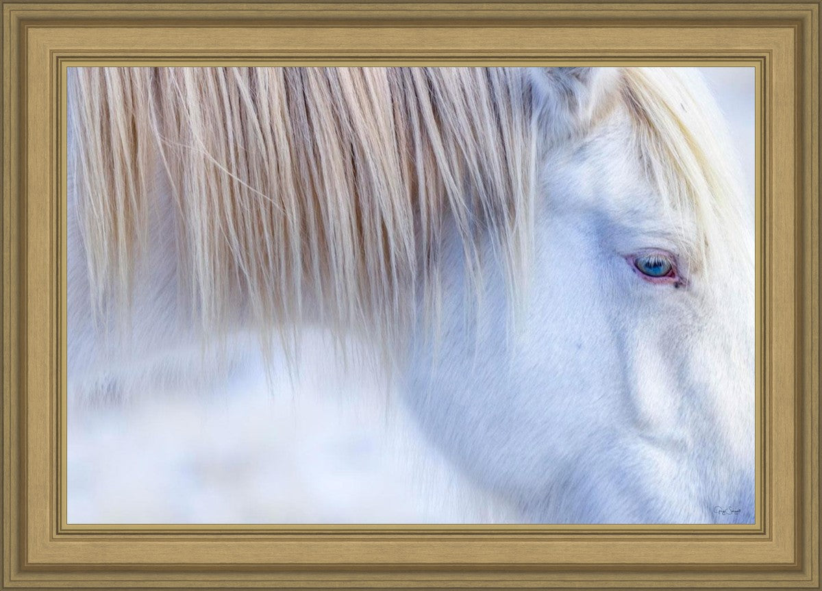 White Gypsy