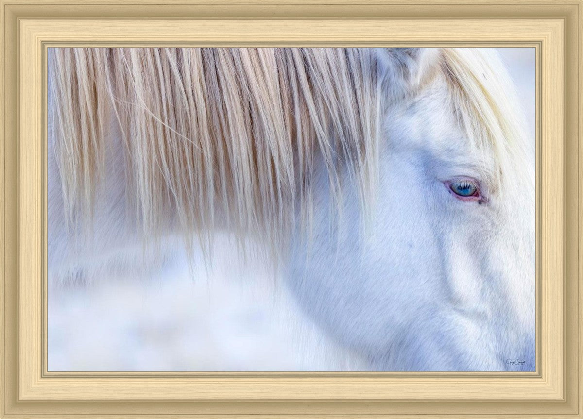 White Gypsy