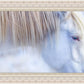 White Gypsy