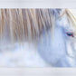 White Gypsy