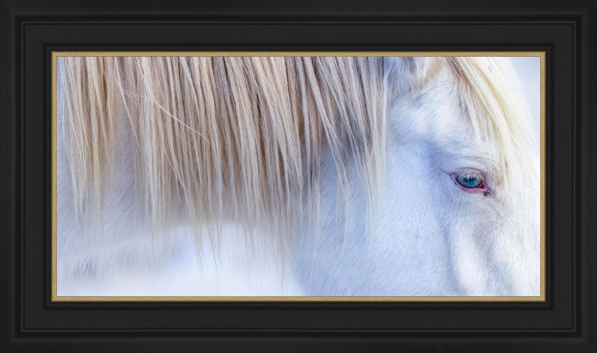 White Gypsy