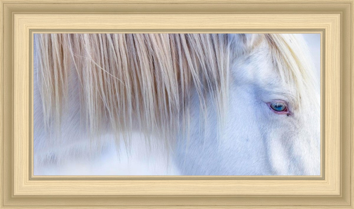 White Gypsy