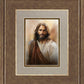 The Compassionate Christ