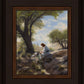Shepherd's Counsel