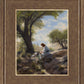 Shepherd's Counsel