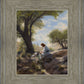 Shepherd's Counsel