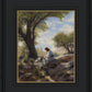 Shepherd's Counsel