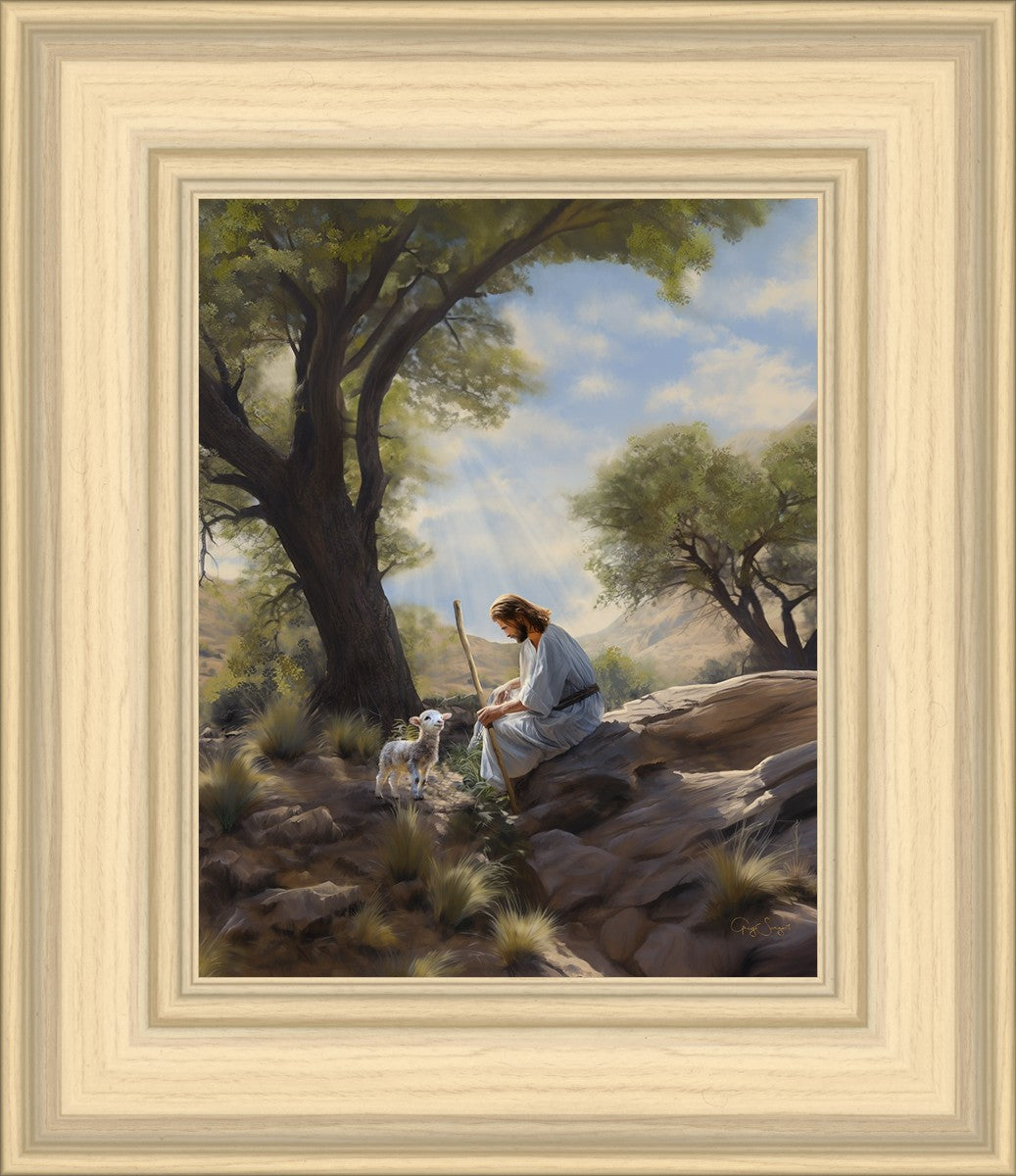 Shepherd's Counsel