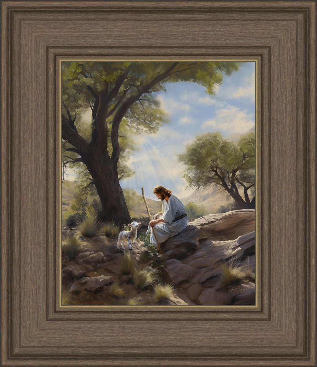 Shepherd's Counsel