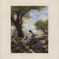 Shepherd's Counsel