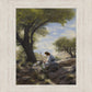 Shepherd's Counsel