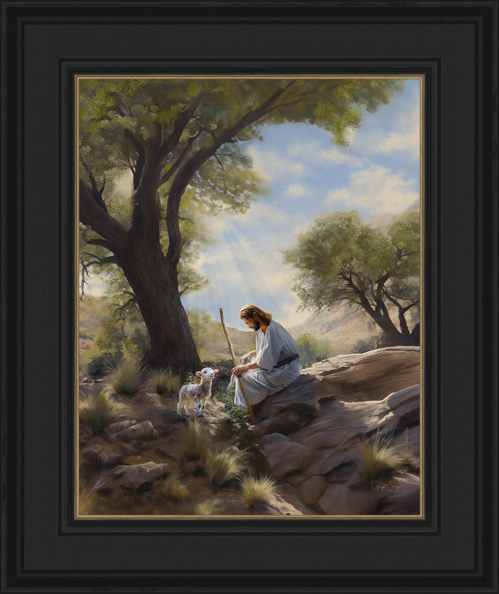 Shepherd's Counsel
