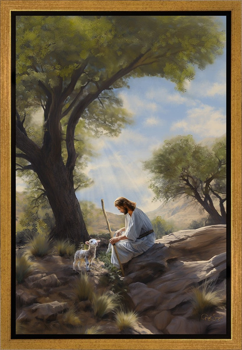 Shepherd's Counsel Gallery Wrap