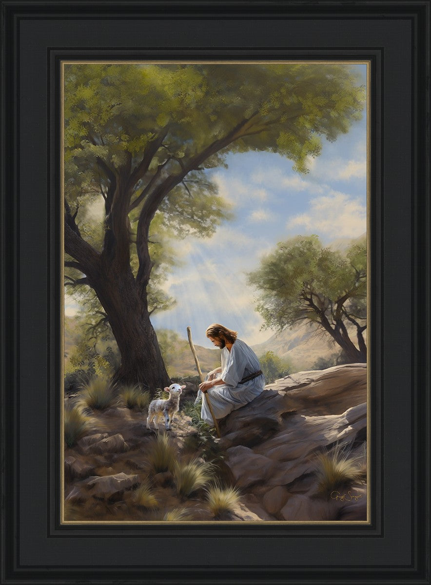 Shepherd's Counsel