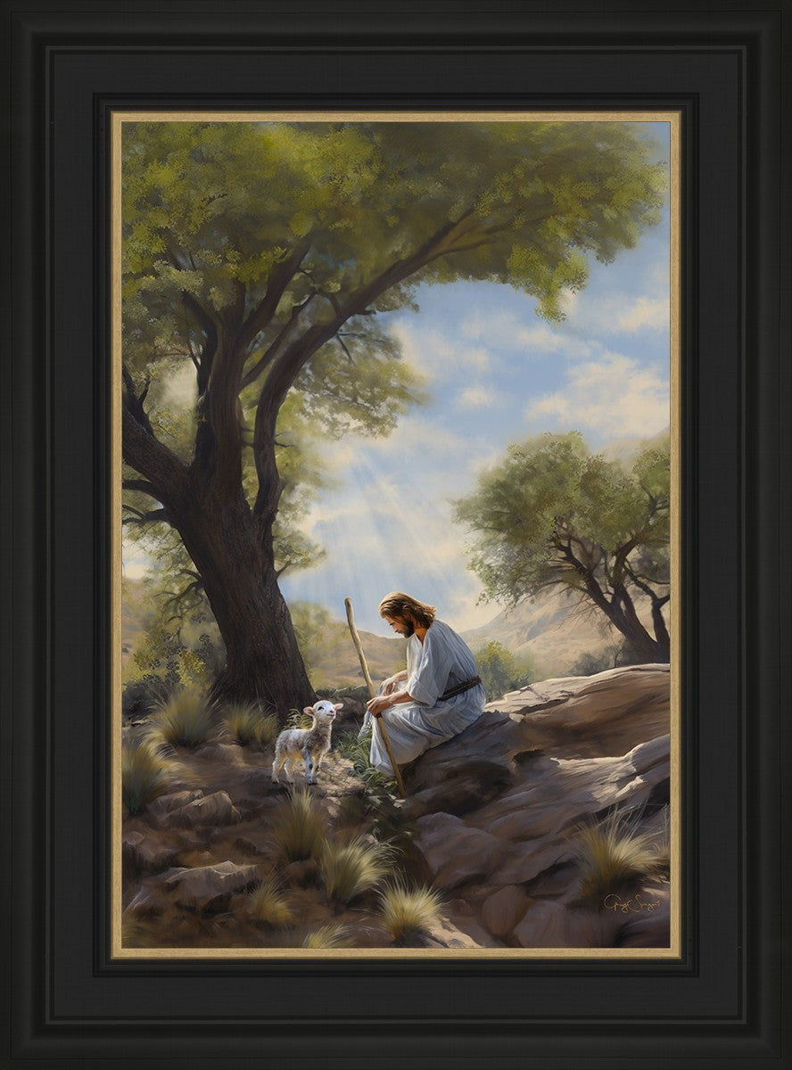 Shepherd's Counsel