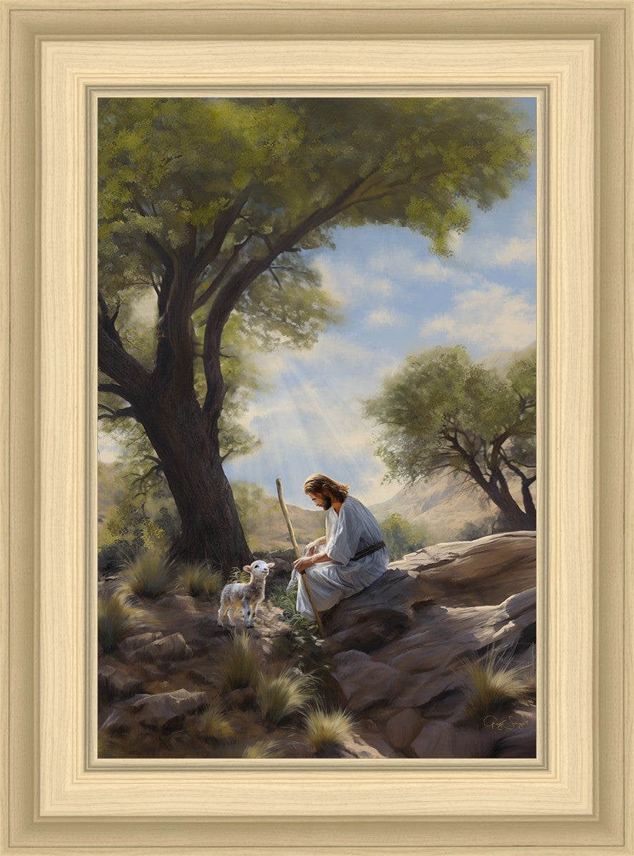 Shepherd's Counsel