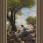 Shepherd's Counsel
