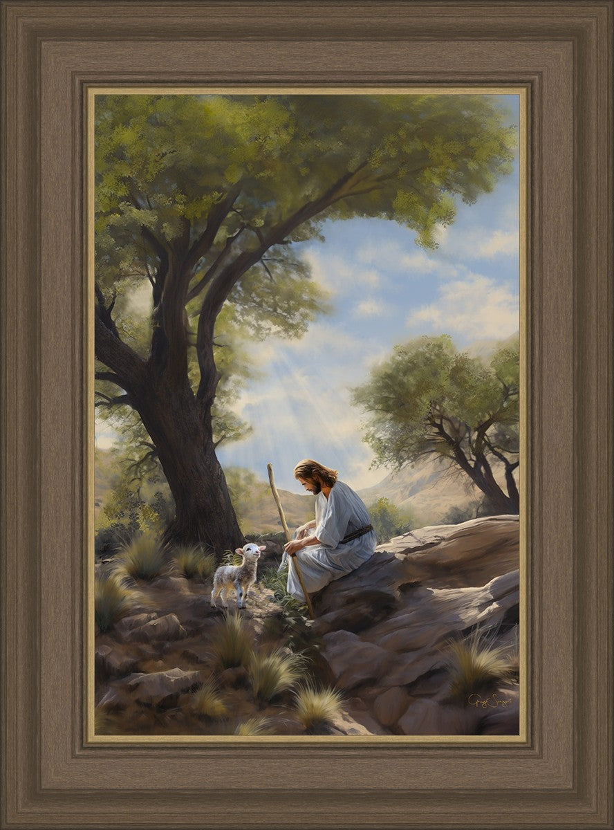 Shepherd's Counsel