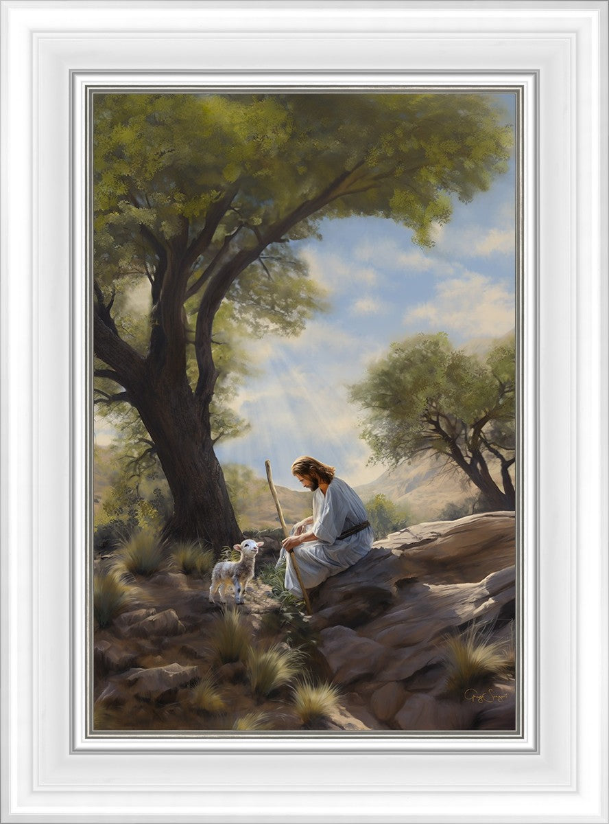 Shepherd's Counsel