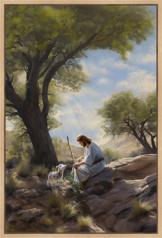 Shepherd's Counsel