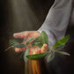 Peace I Give