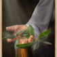 Peace I Give