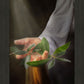 Peace I Give