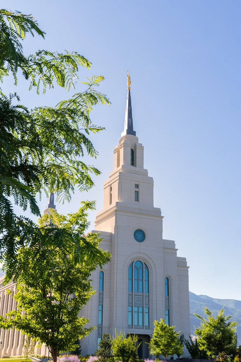 Layton Utah House of the Lord Gallery Wrap