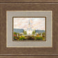 Orem Utah Sunrise Flowers