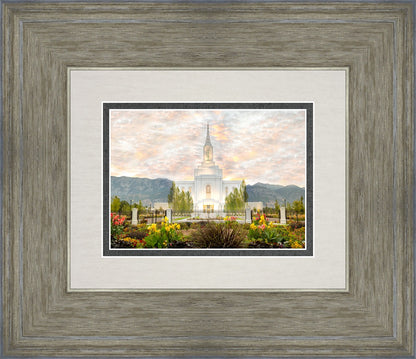 Orem Utah Sunrise Flowers