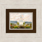 Orem Utah Sunrise Flowers