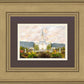 Orem Utah Sunrise Flowers