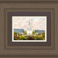 Orem Utah Sunrise Flowers