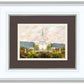 Orem Utah Sunrise Flowers