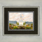 Orem Utah Sunrise Flowers