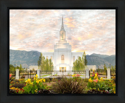 Orem Utah Sunrise Flowers