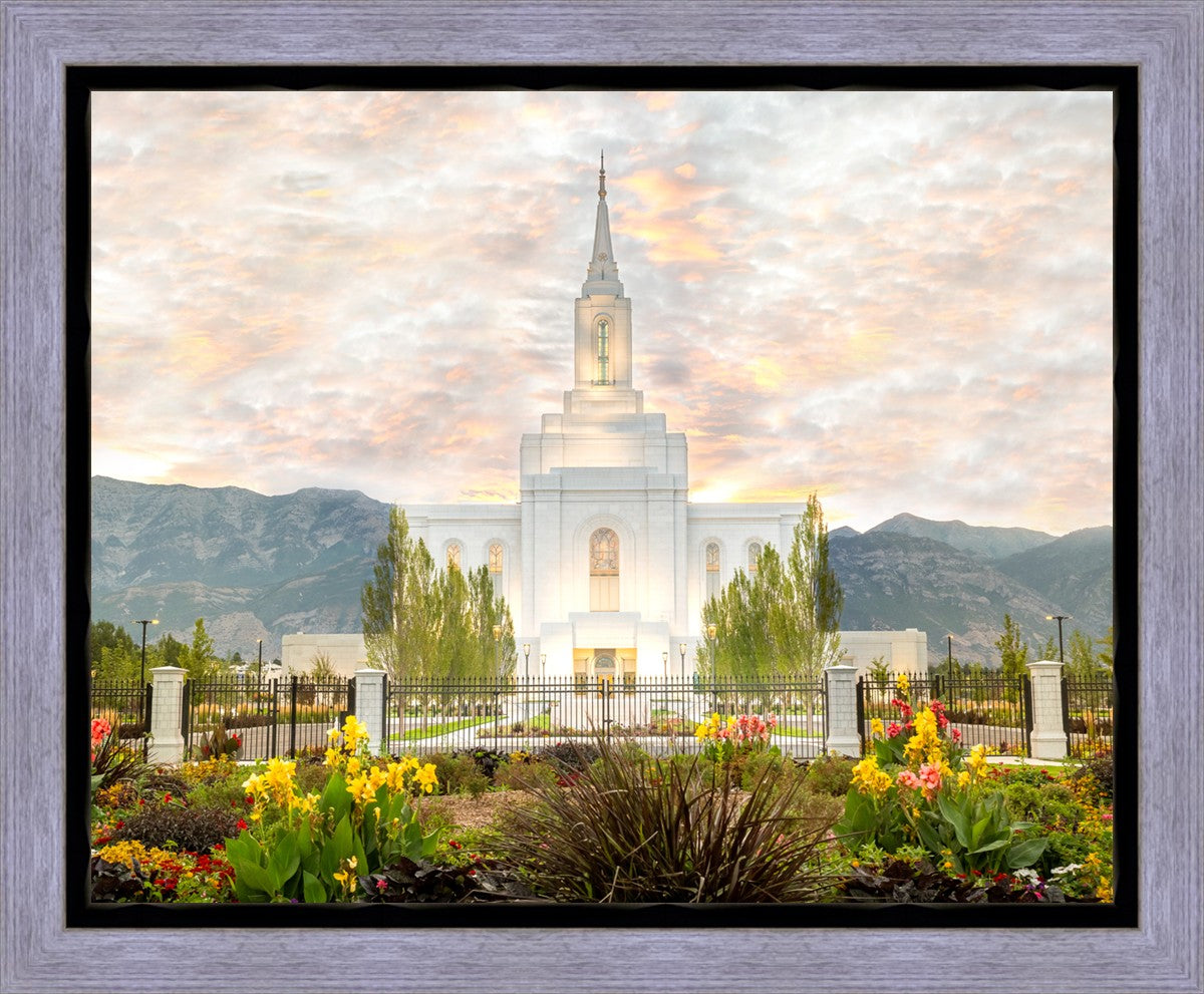 Orem Utah Sunrise Flowers