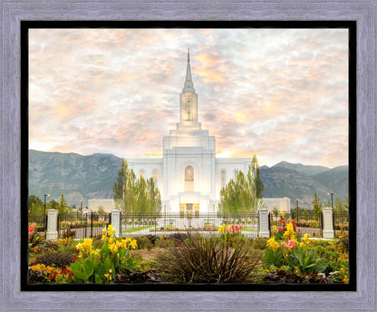 Orem Utah Sunrise Flowers