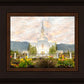 Orem Utah Sunrise Flowers
