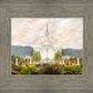 Orem Utah Sunrise Flowers