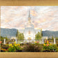 Orem Utah Sunrise Flowers