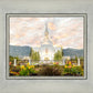 Orem Utah Sunrise Flowers