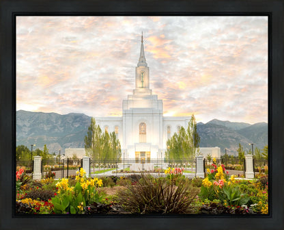 Orem Utah Sunrise Flowers